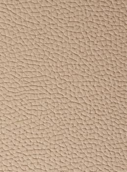 ASTER ( E -489 1005 NUEZ