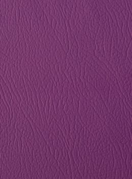 COLOUR -PURPLE ( EMB 489 )